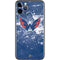 NHL Washington Capitals Frozen iPhone 11 Pro Skin